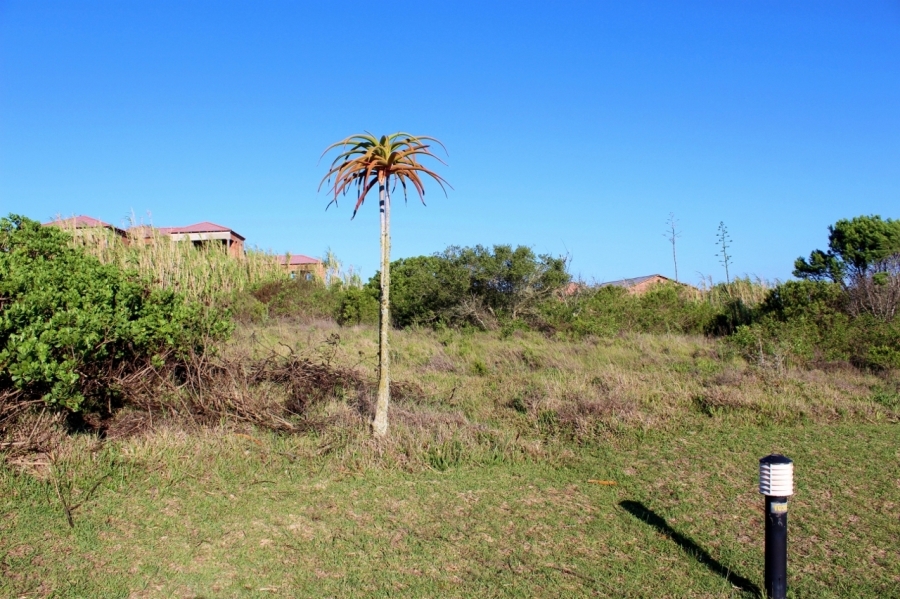 0 Bedroom Property for Sale in Forest Downs Eastern Cape
